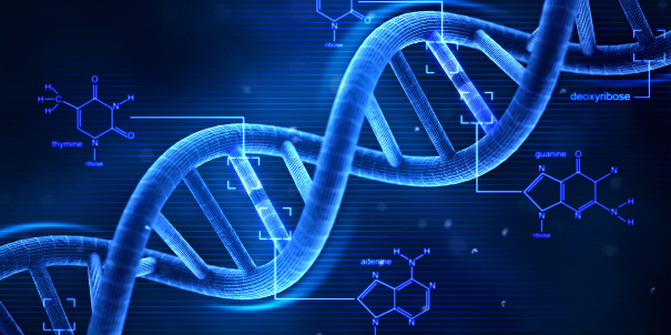 We are Genetic, Information Processing, Social Creatures